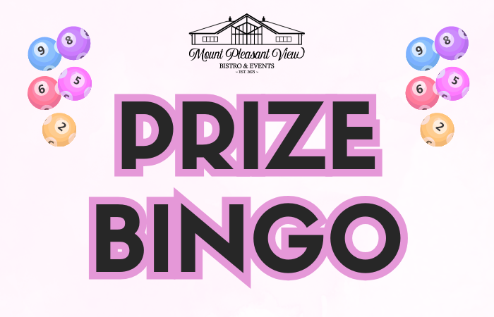 Bingo Website Poster