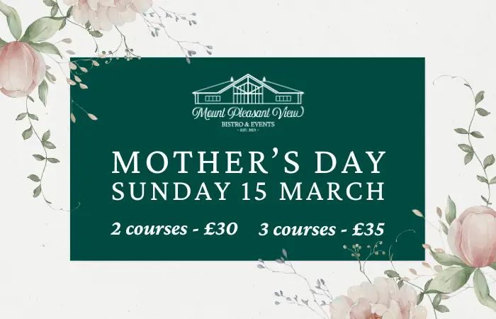 Mothers Day Website Poster
